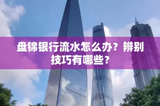 盘锦银行流水怎么办？辨别技巧有哪些？